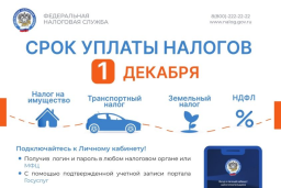 Время оплатить налоги 1
